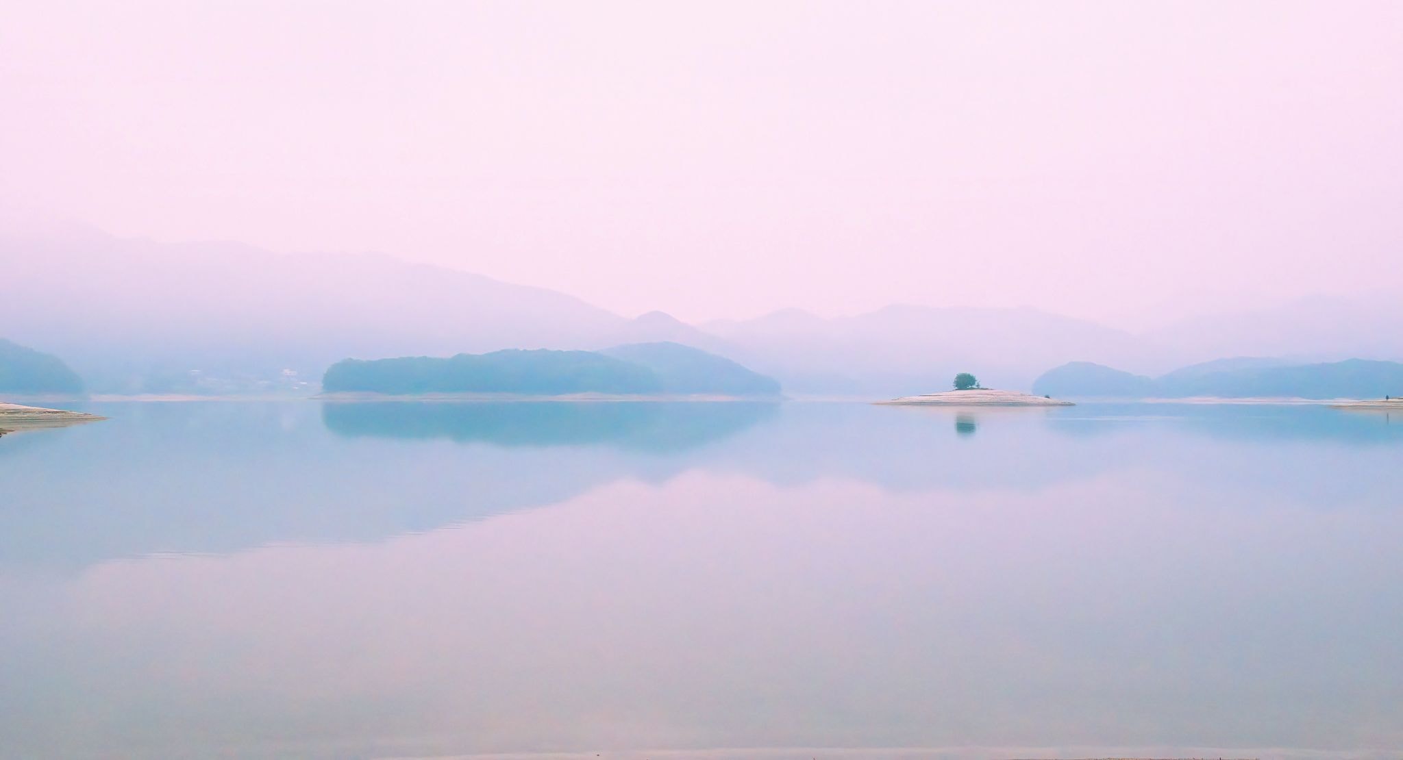 Lavender – Calm and reassurance